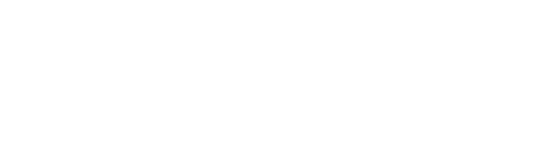IBOX303